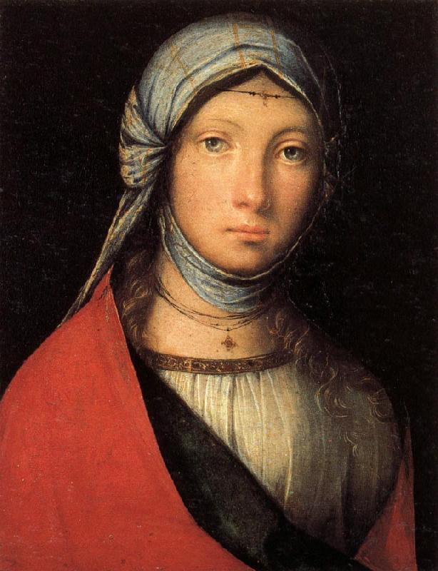 BOCCACCINO, Boccaccio Gypsy Girl